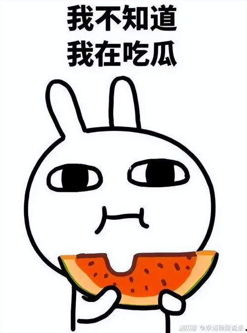 吃瓜开头的网名,吃瓜群众视角下的娱乐圈风云录